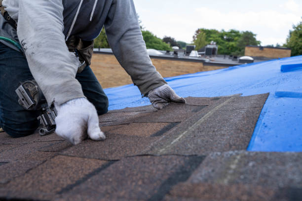 Best Storm Damage Roof Repair  in Floydada, TX